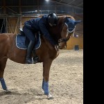 equestrianjumper