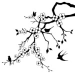 Sakura stem