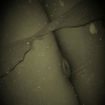 SASA_2023