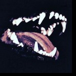 Horrorwh0re