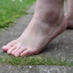 Miss Jemima Puddleduck