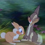 BunnyAndThumper