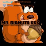 MrBignuts3x