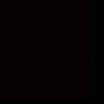 matt_trust18