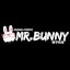 Mr Bunny