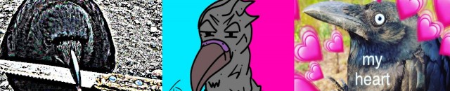 SPIKESROBIN