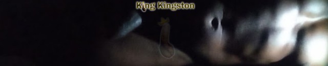King Kingston JM