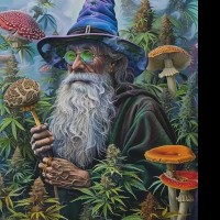 budz420mari