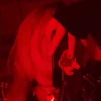 busy_bunny