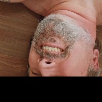 Steve Travine