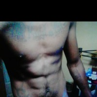 Black Cobra x Rose Garden