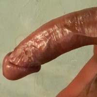 Negroperla