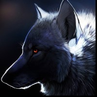 TheHairyWolfman