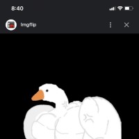 Punishmepleasexxx