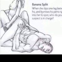 SexTressCurves