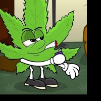 Smokeweedseveryday