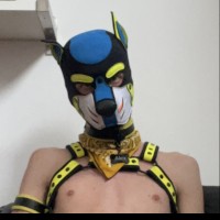 Puppy_Alex