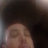 nzliegee15