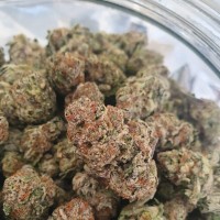 HornyByNature420