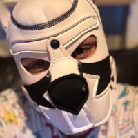 PUPPYRENZO
