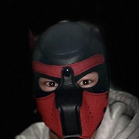 GaymerPupper