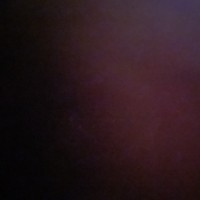 Baby_turtl3
