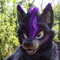 TheBlackWolfsAD