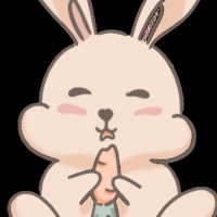 FluffyStudio