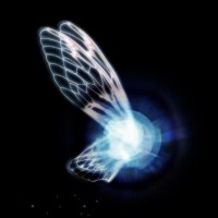 Navishot