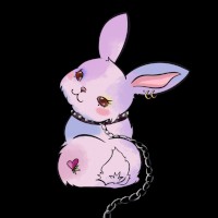 BunnyForceHub