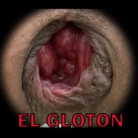 elgloton4you