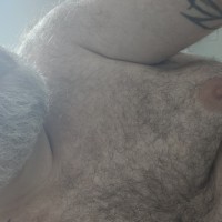subNJBear