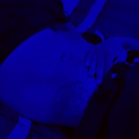 SiroBunny