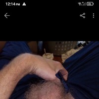 VIpetking47