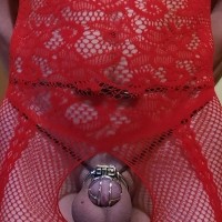 Sexanus_35