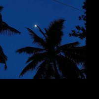 tropicalFTM