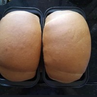Raschaparrita
