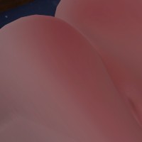 LewdVRCouple