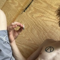 DylanBangs