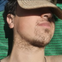 diigo01