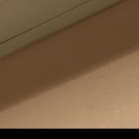 Slutlifewife