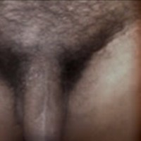 Wowhsvc666