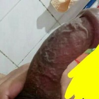 Nelskie25
