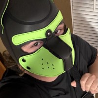 Pup Ryan