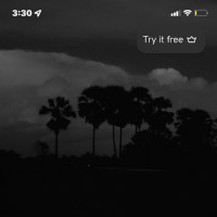 DaLightskinz