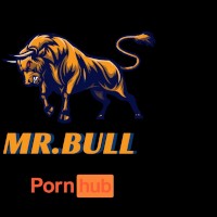 Mr.Bull