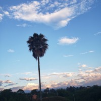 latinvenuz