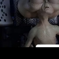 Papi flako
