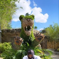 KingBear1300
