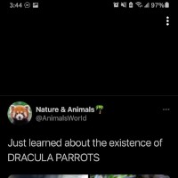 SeriousDickns